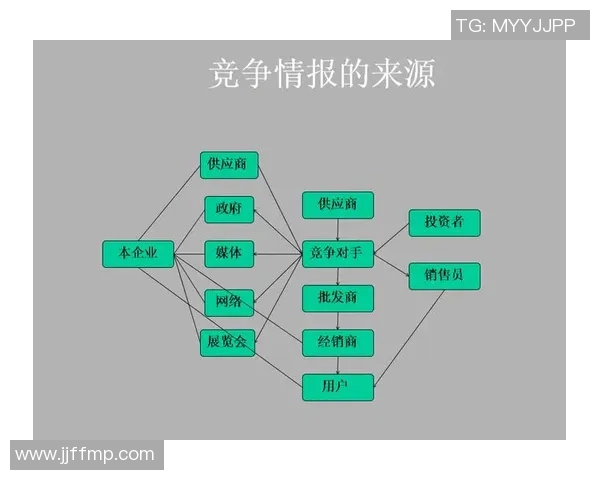 广州篮球队实力深度解析与对手力量全面对比分析